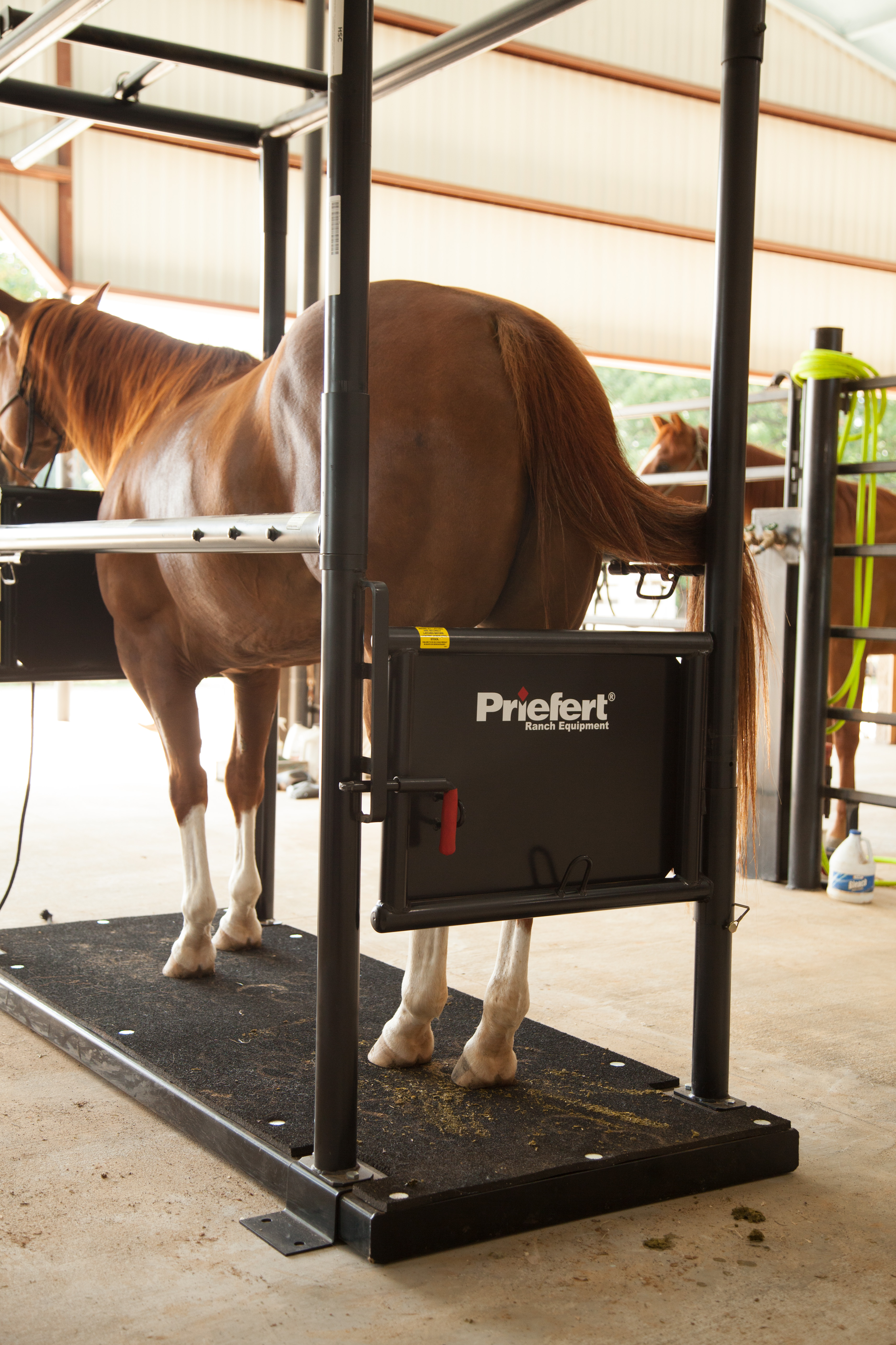 HS HorseStock Bynum 34.jpg